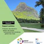 Protection des élections : gestion des risques, renforcement de la résilience, gestion des crises